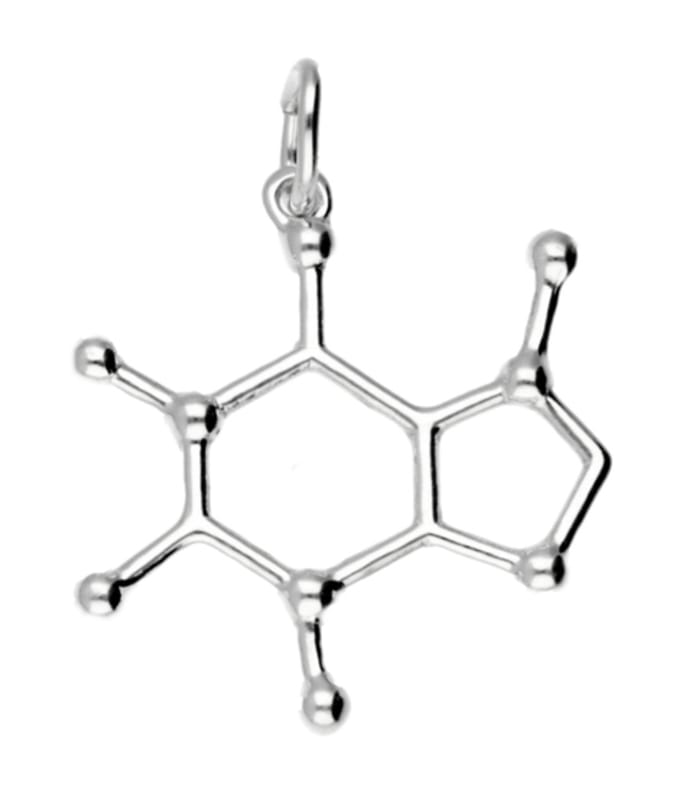 Zilveren Caffeine scheikundig molecuul formule kettinghanger