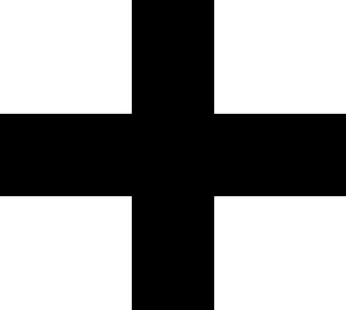 Vlag Konstanz 100x150cm