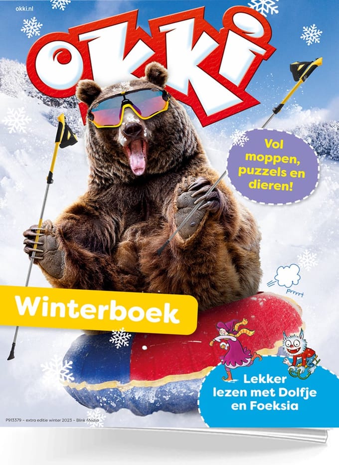 Okki Winterboek - Doeboek voor 6 en 7 jaar