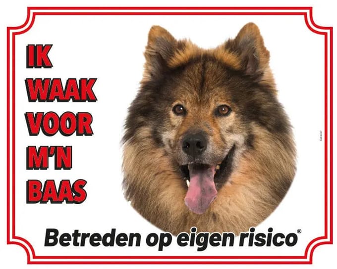 Eurasier Waakbord