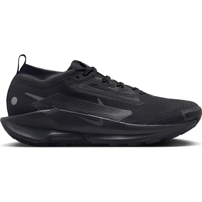 Trail schoenen Nike Pegasus 5 Gore-Tex