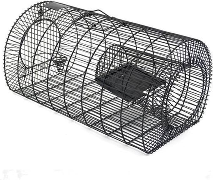Vangkooi voor meerdere ratten Vangt meerdere ratten in een setting