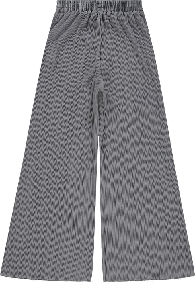 Raizzed - Maat M - Jeans Samize Vrouwen Jeans - Shade Grey