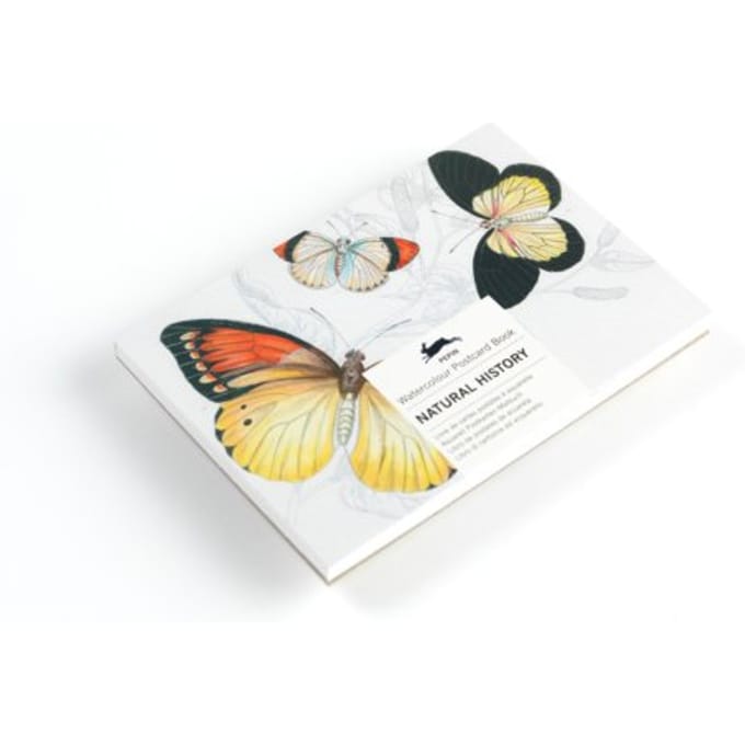 Natural History - Watercolour Postcard Books - Pepin van Roojen