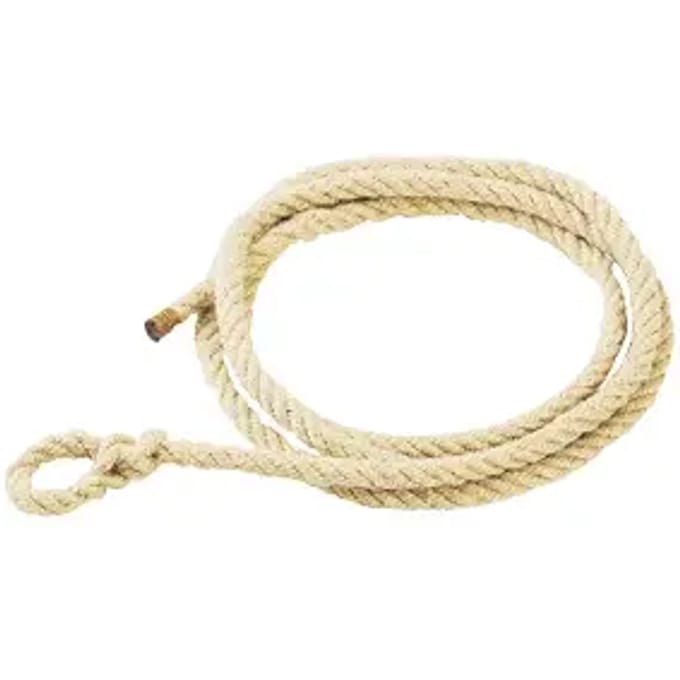 Longe voor de training Corderie Palus 14 mm / 4m