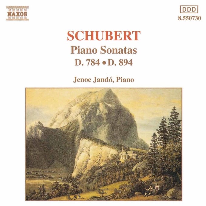 Jeno Jandó - Schubert: Piano Sonatas D784 & D894 (CD)