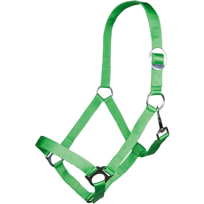 Halster voor paarden HKM Stars Economy