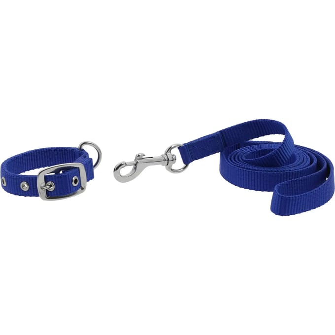 Halsband en lijn voor hond Riding World Oscar