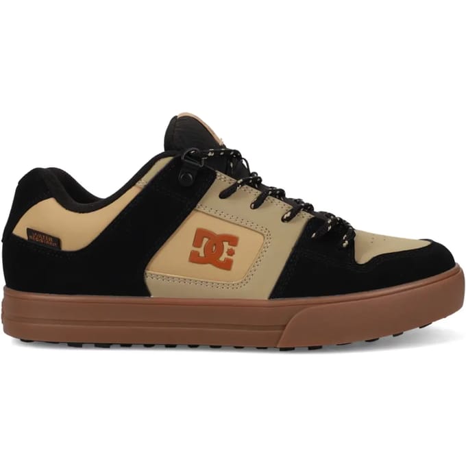 Trainers DC Shoes Pure Wnt