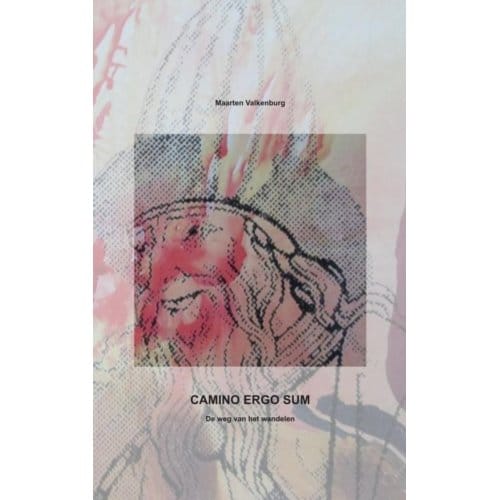 Camino Ergo Sum - Maarten Valkenburg
