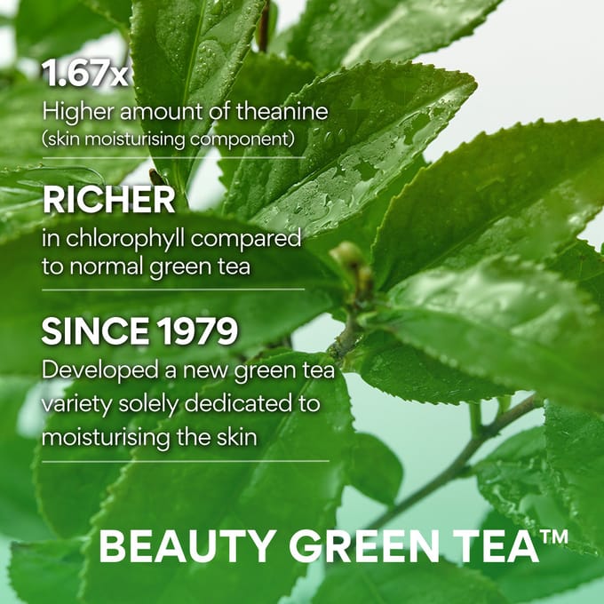 5 stuks/75ml_[INNISFREE] Green Tea Seed Hyaluronic Cream 15ml (Steekproef) 15ml X 5pcs (75ml) beige