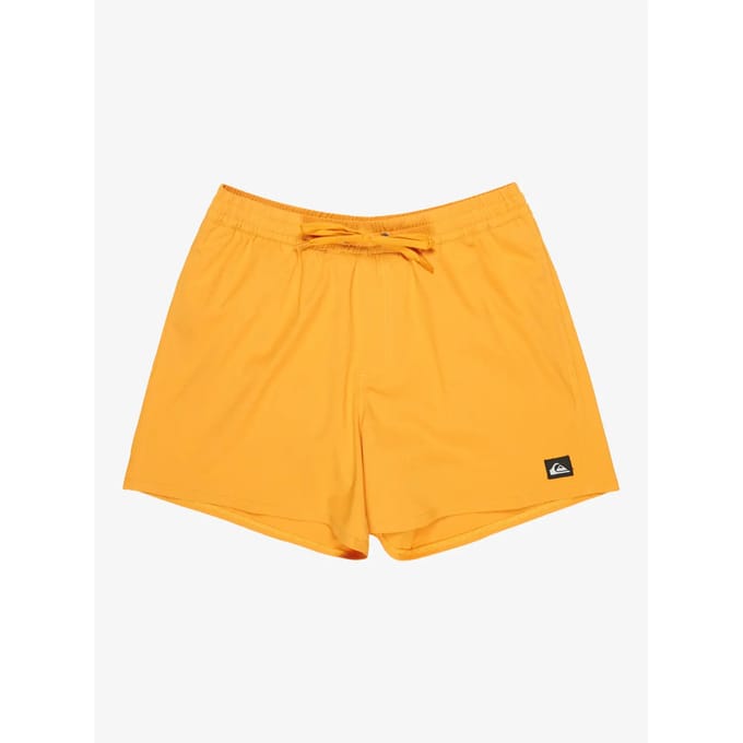 Surf shorts Quiksilver Everyday Flex Volley 15"