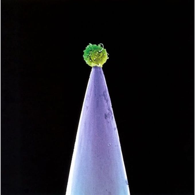 Real World Peter Gabriel-CD