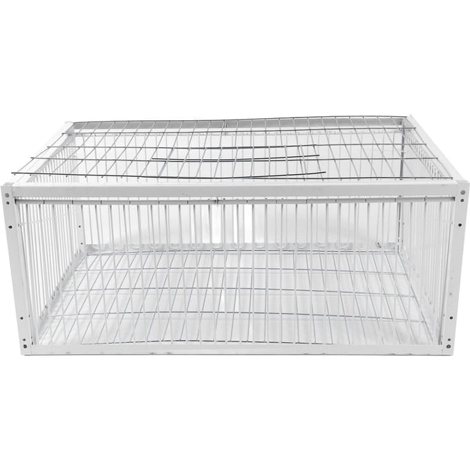 Cage Piège à Oiseaux Entrée Simple Robuste Résistant à la Rouille Polyvalent Portable Anti-Évasion Piège à Animaux M(59cm / 23.2in Long) white