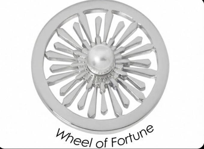 Quoins Disk QMB-61M-E Wheel of Fortune staal zilverkleurig (M)
