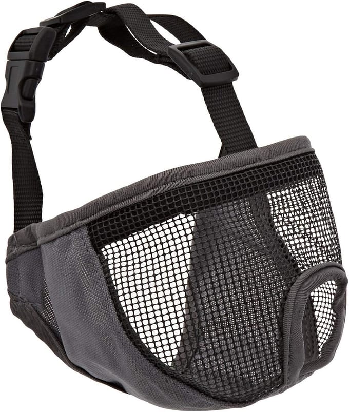 Comfortabele Muilkorf voor Honden met Korte Snuit - Ademend Polyester