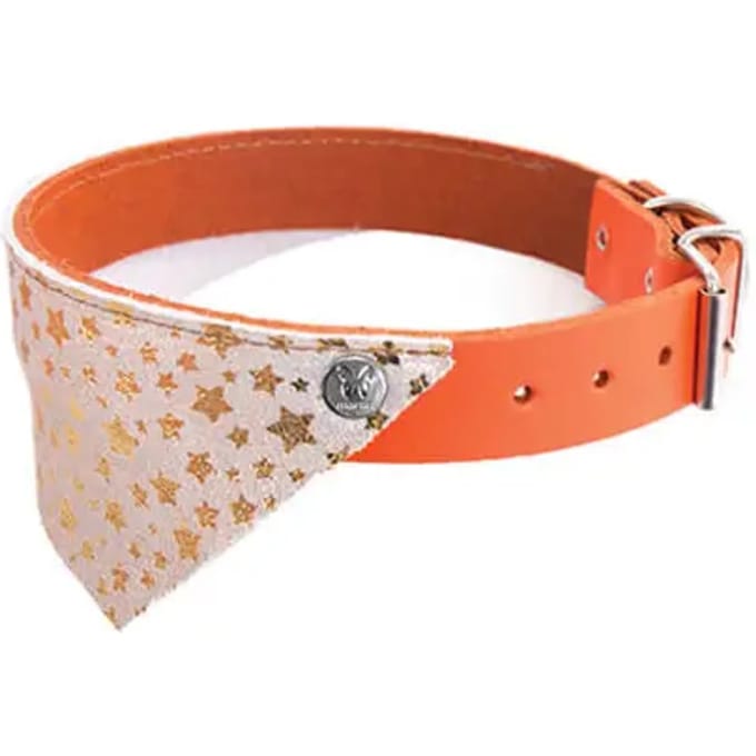 Hondenhalsband Martin Sellier Miami