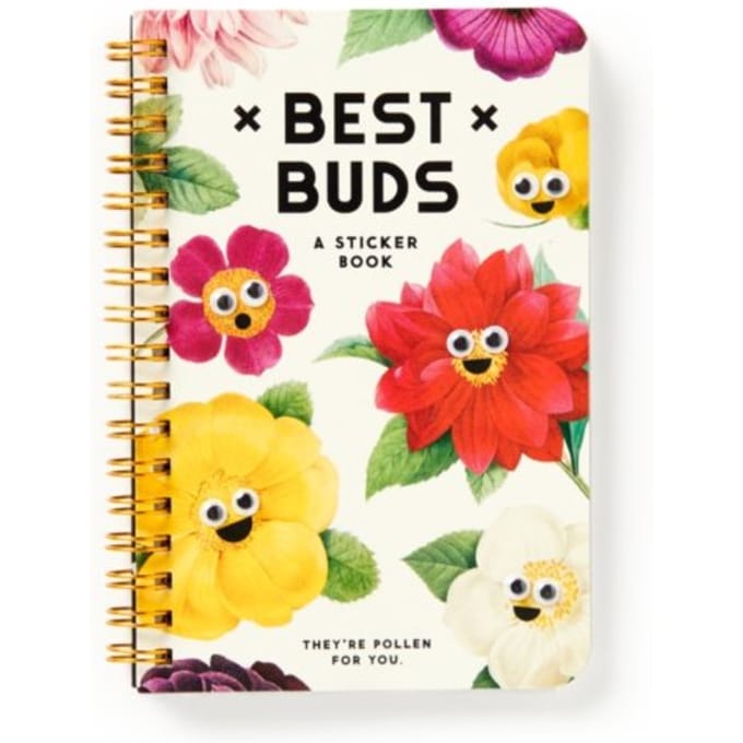 Best Buds Googly Sticker Book - A Brass Monkey Sticker Book - Brass Monkey