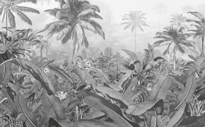 Komar - Fotobehang - Amazonia - Black - and - White - 400x250 - cm