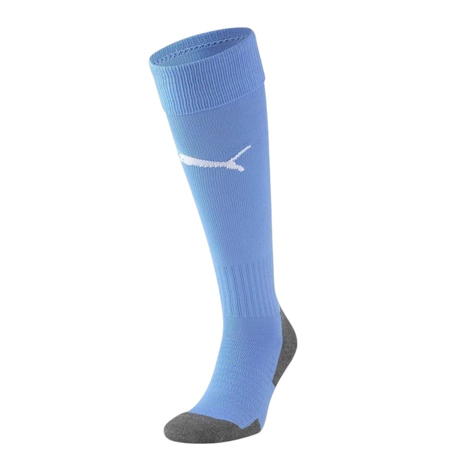 Puma Heren Team Liga Voetbalsokken (Blauw/Wit)
