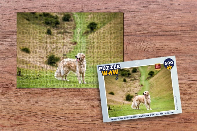 Puzzel Prachtige afbeelding van een Golden Retriever - Legpuzzel - Puzzel 500 stukjes