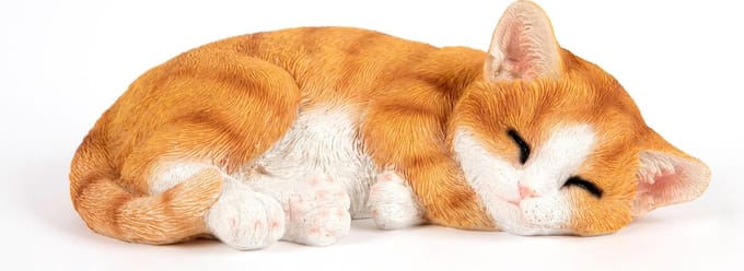 Slapende rode Kitten