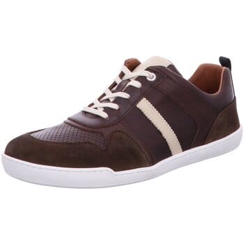 Nette Schoenen Develab -