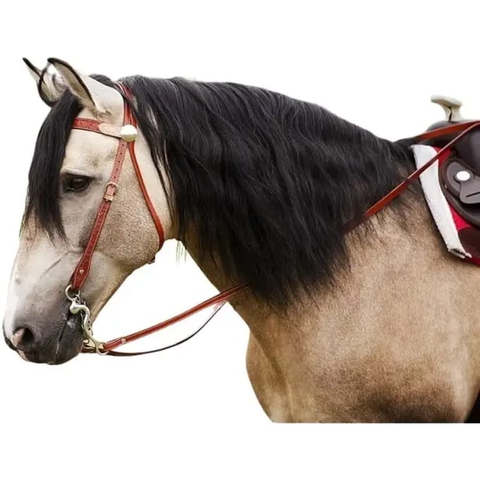 Hoofdstellen voor paarden Westride Two tone