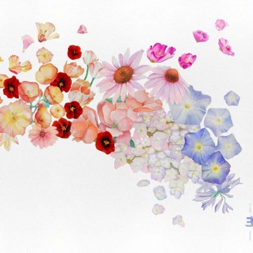 Flor - Gretchen Parlato