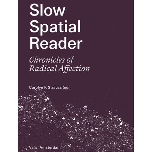 Slow Spatial Reader - Carolyn Strauss
