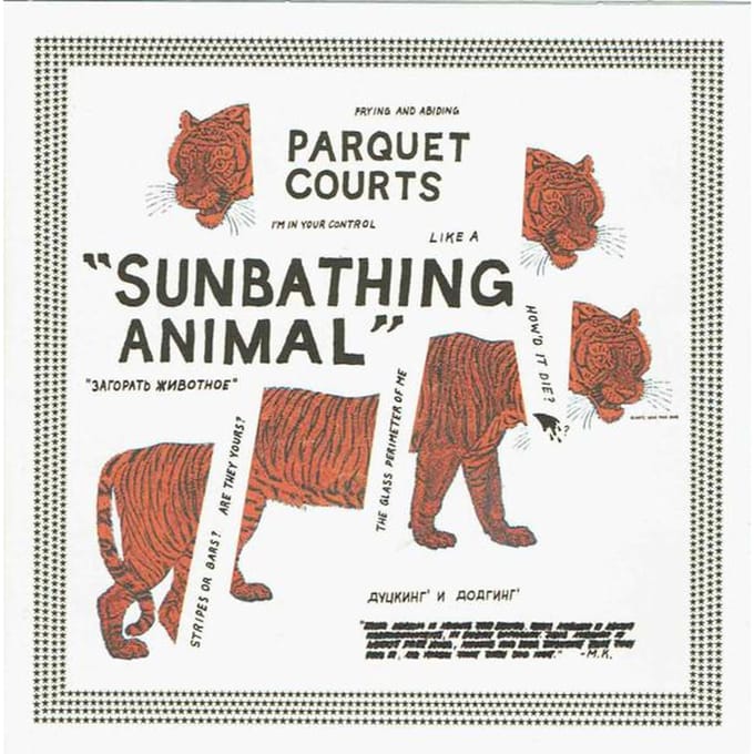 Parquet Courts - Sunbathing Animal (CD)