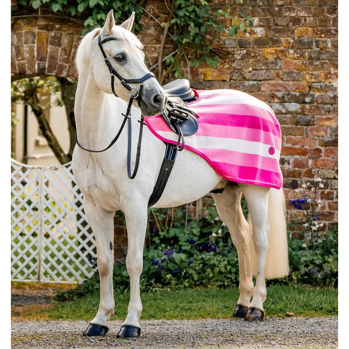 Paardendekens Horseware Newmarket