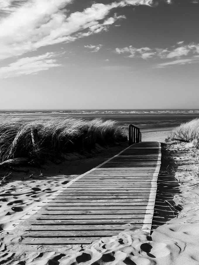 Beach Scene Photo Wallcovering