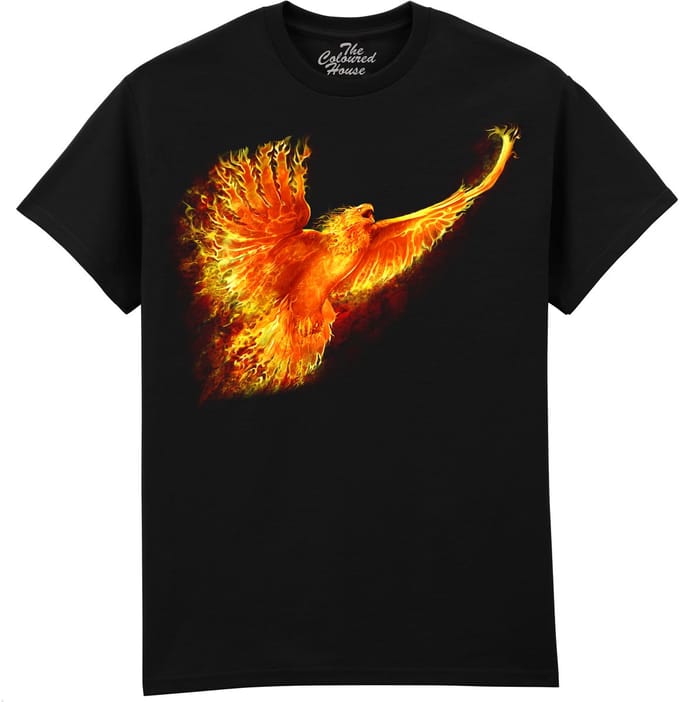 Phoenix Rising The Coloured House T-shirt S