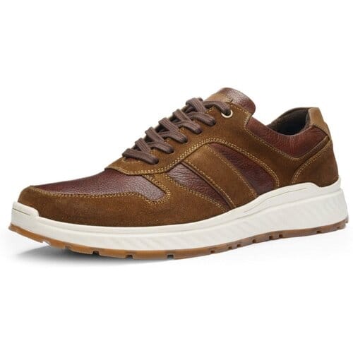 Lage Sneakers Ara -