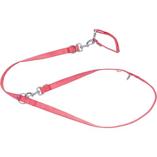 ZOOFARI Hondenhalsband en riem (Rood, S)