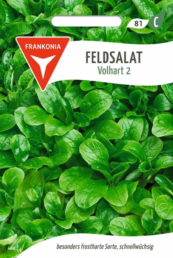 Veldsla, Volhart 2 - Groentezaden, slazaden, zaden