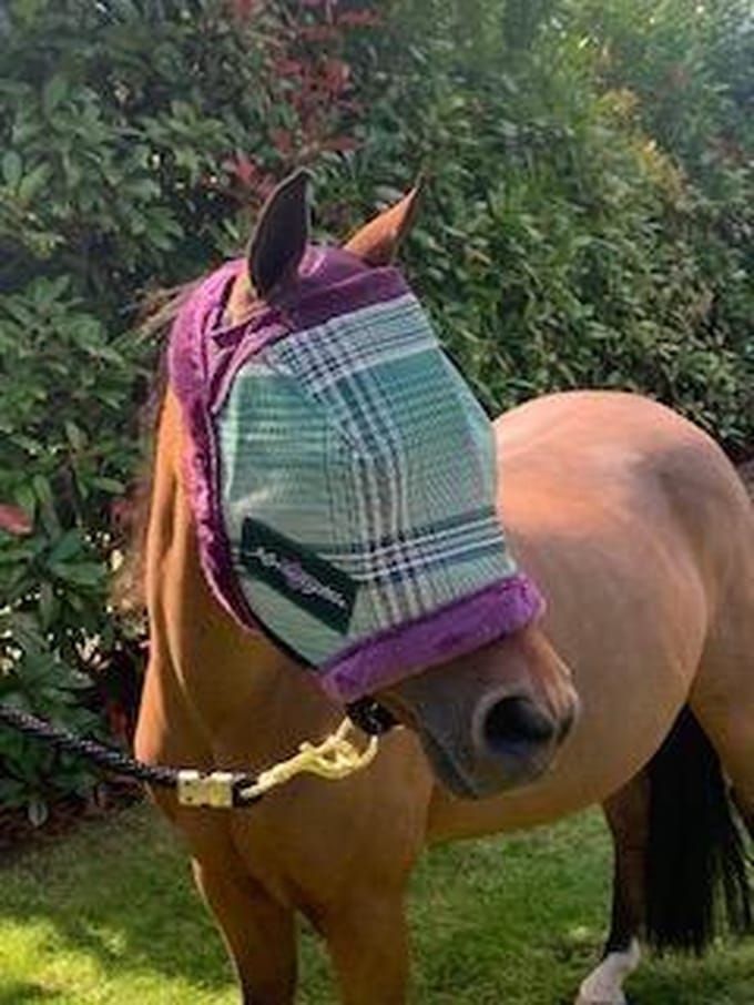 Kensington Vliegenmasker Deluxe Imperial Jade pony