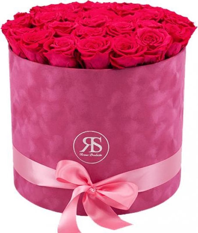 Flowerbox Longlife Suzy donker roze