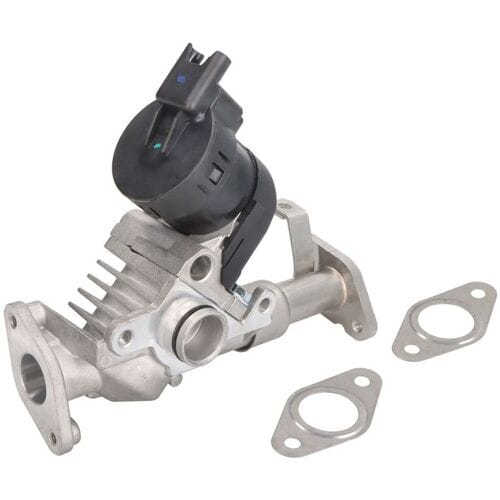 EGR-klep HELLA 6NU 014 864-981