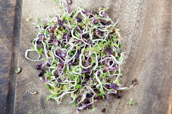 Buzzy® Organic Spruitgroente Pikante Salade in glazen pot