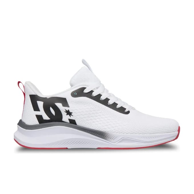 Baskets DC Shoes Roammax