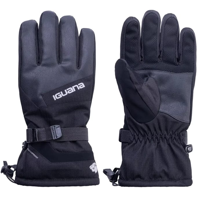 Skihandschoenen Iguana Vinter