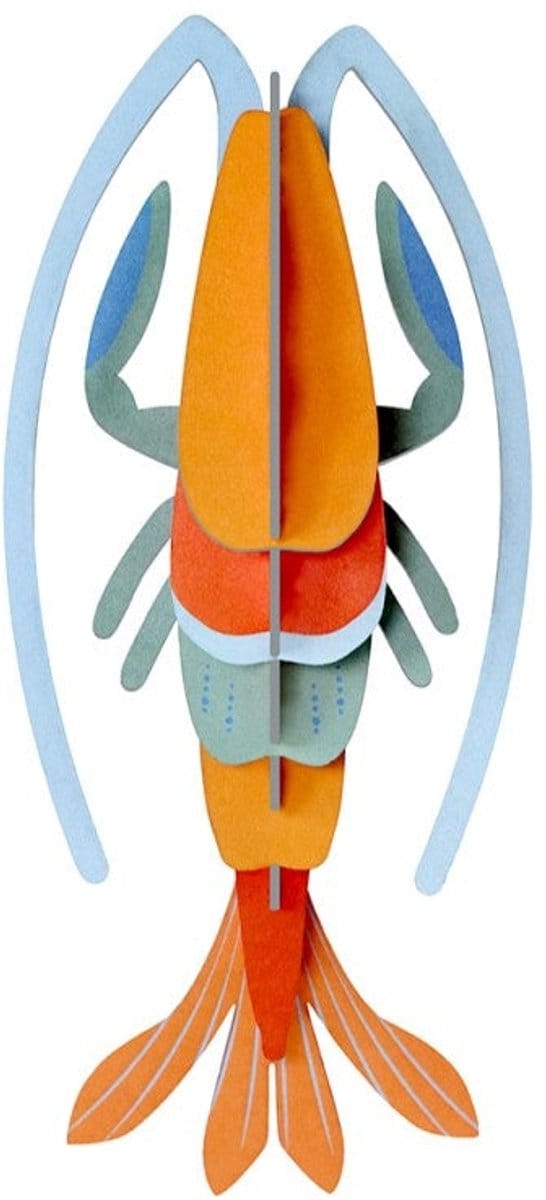 Zeedieren Klein - Pomelo Garnaal