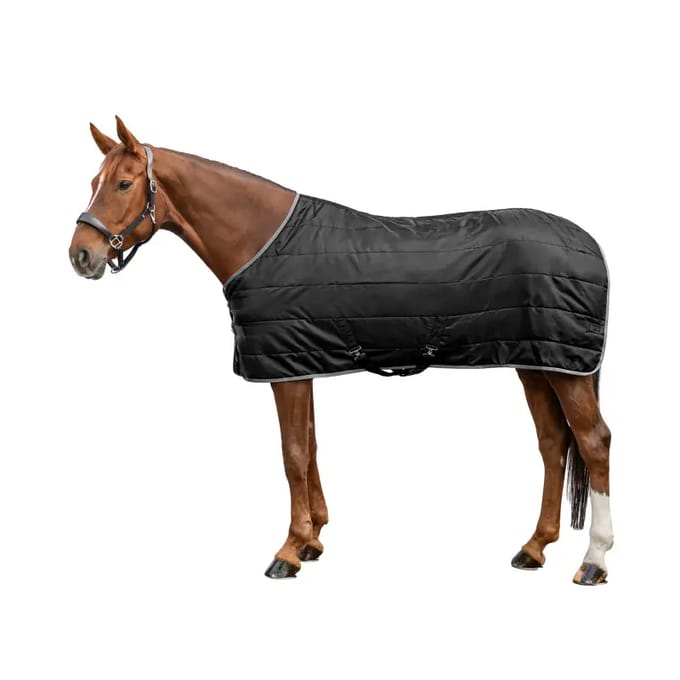 Paardendeken Waldhausen Economic 300g