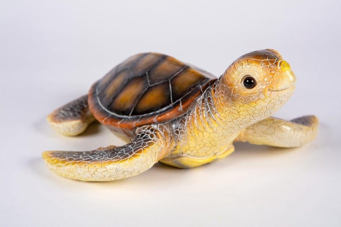 Zeeschildpad