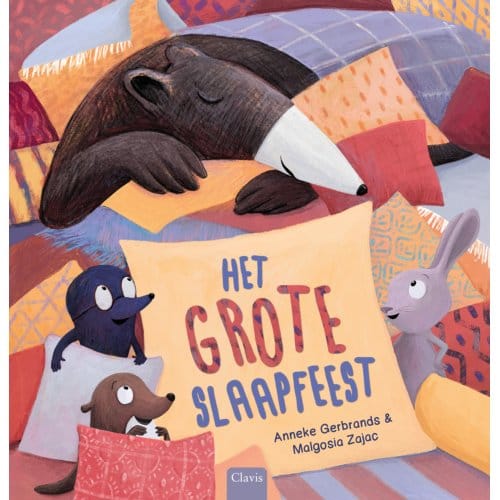 Het Grote Slaapfeest - Anneke Gerbrands