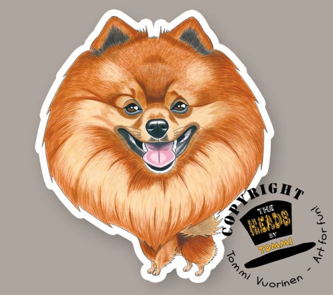 Magneet Hond Kleinspitz