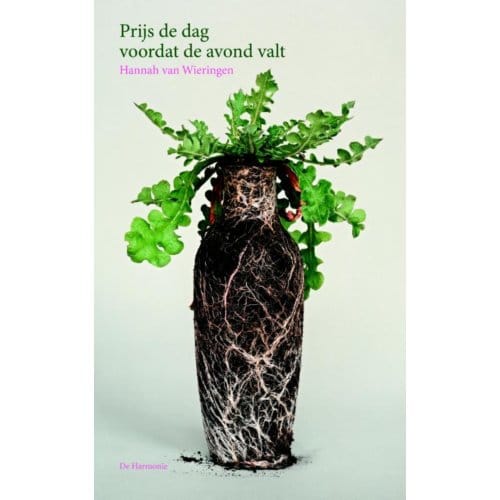 Prijs De Dag Voordat De Avond Valt - Hannah van Wieringen