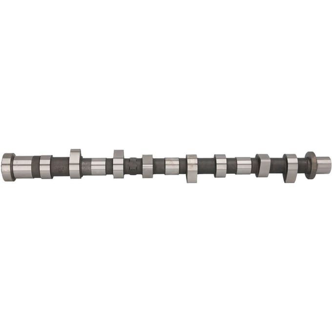 Nokkenas  AE CAM943